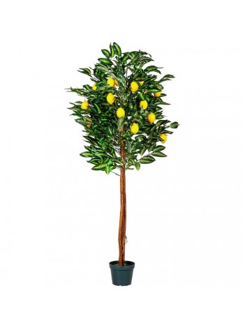 STABLO LIMUNA : UMJETNI PLODOVI, PRAVO DRVO